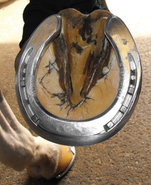 Kerckhaert Aluminum Comfort
