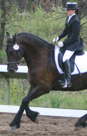 english performance dressage