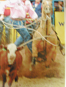 jimjimenez