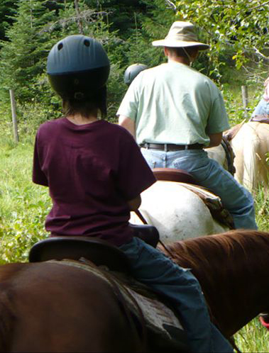 westernpleasure riding