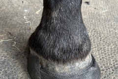 5_Cast-material-in-place-using-Vettec-Superfast-to-help-with-wall-bond