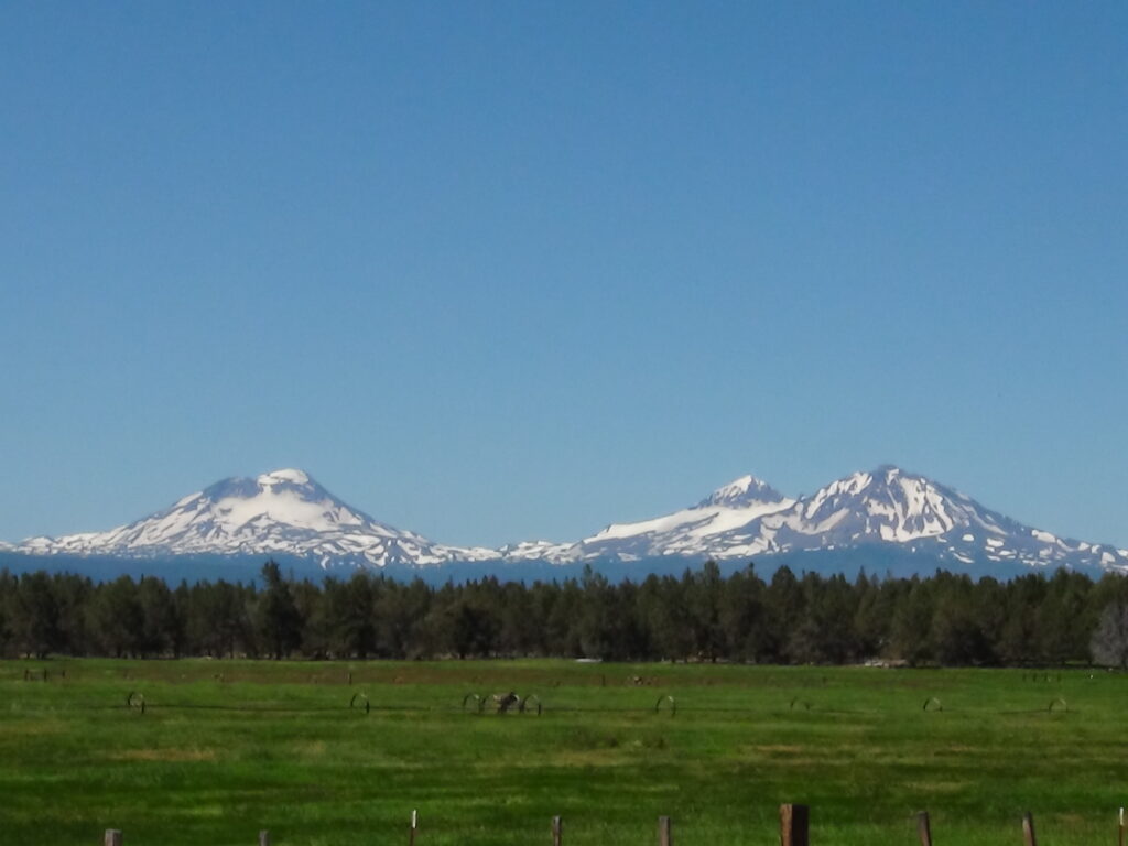 mountain base hay field.