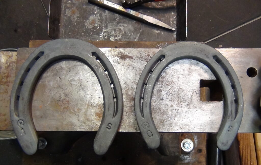 Horseshoes
