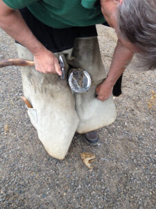 Steve Norman fits this horse with a Kerckhaert Fast Break XT.