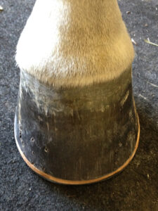 Tim Cable Finished Classic Roller Leather Pad.